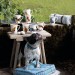 Келих  Hutschenreuther  My Mug Collection - Cats & Dogs, 400 мл. (Французький бульдог)